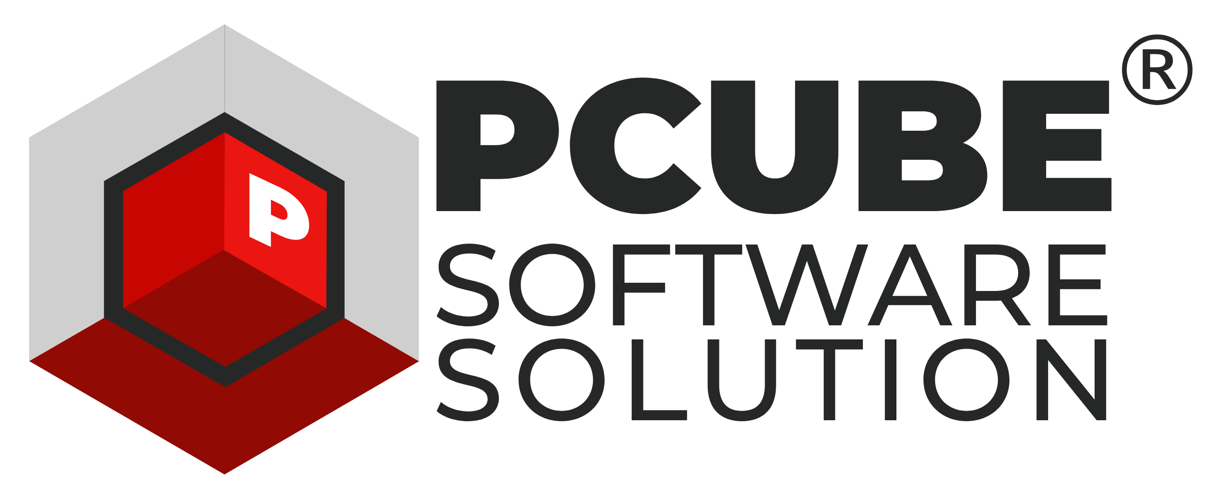 pCube Software Solution logo